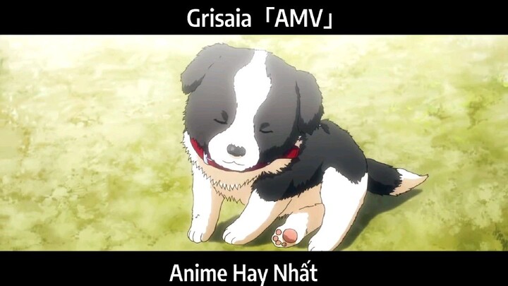 Grisaia「AMV」Hay Nhất