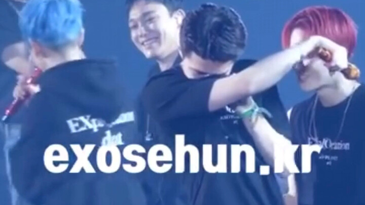 [EXO] The members’ gazes at Sehun are so full of affection; I feel so bad for him.