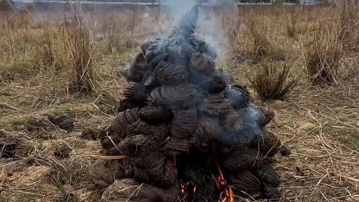 [Homo Sapiens TV] Still the stinky, caged chicken & still the fried beef tendon