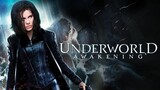 Underworld Awakening (Action-Fantasy-Thriller)