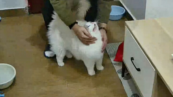 شو اللي أخّرك هااهاهاهاهاهاه