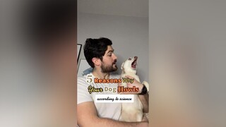 Did any of these surprise you? LearnOnTikTok dogs dogfacts￼