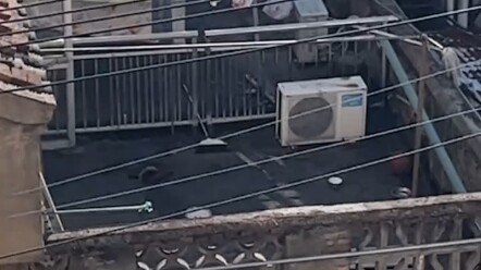 "Corgi  "Hewan Peliharaan Imut  "Kocak Corgi: Wah, udah kena buka rekening nih!