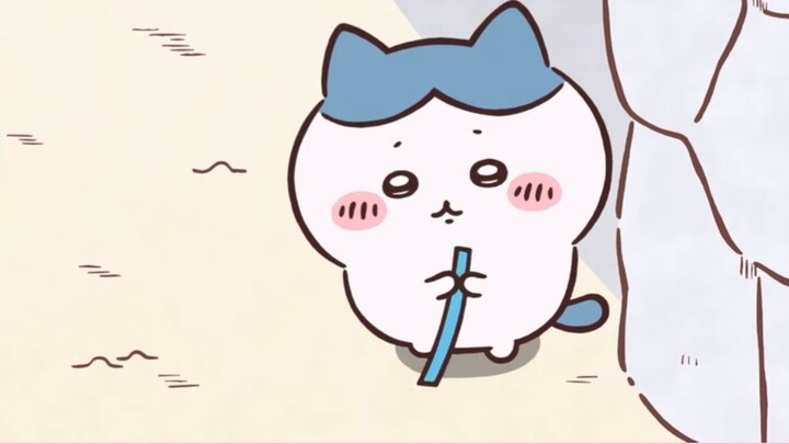 Latest episode chiikawa164 - Memories seem to have doubled