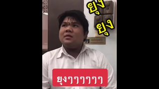 ยุงๆๆๆๆๆ