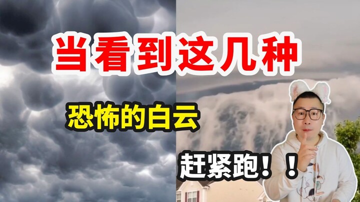 النجدة! إذا رأيت هذا النوع من الغيوم في البرية، اهرب بسرعة!