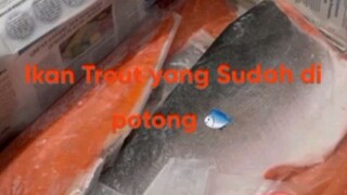 Ikan Ttout yang Sudah di Potong Masih Segar