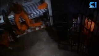 di nila alam dating mayor pala