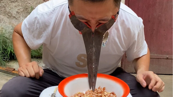 Bionic chicken beak