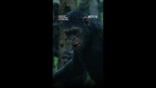 Kera Kalo Diem Aja Serem, Nah Ini Bisa Ngomong??? | Dawn of The Planet of The Apes | #Shorts