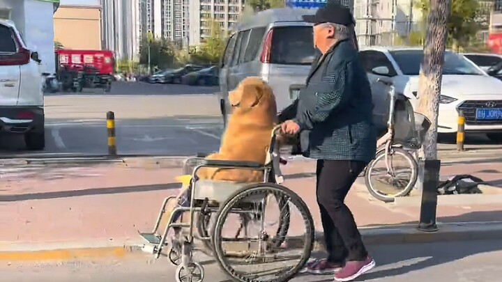 จีนมีฟลอริดาของตัวเอง!
