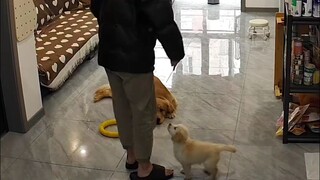 优等生和差生的区别真大