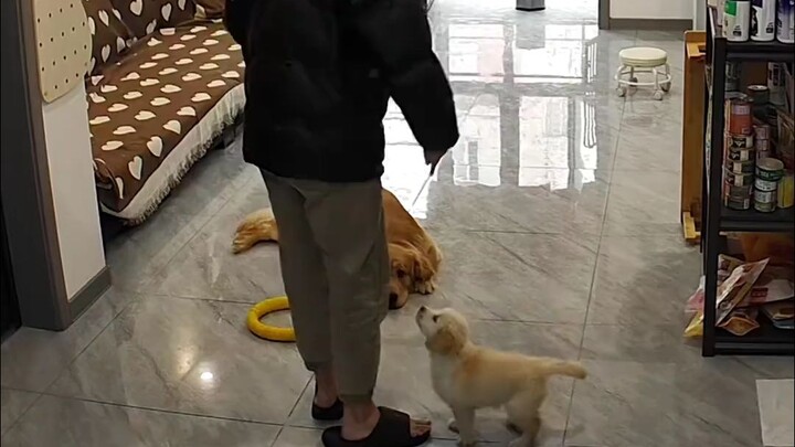 优等生和差生的区别真大