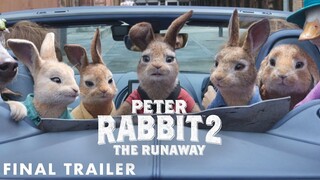 Peter Rabbit 2 The Runaway 2021 SUB INDO