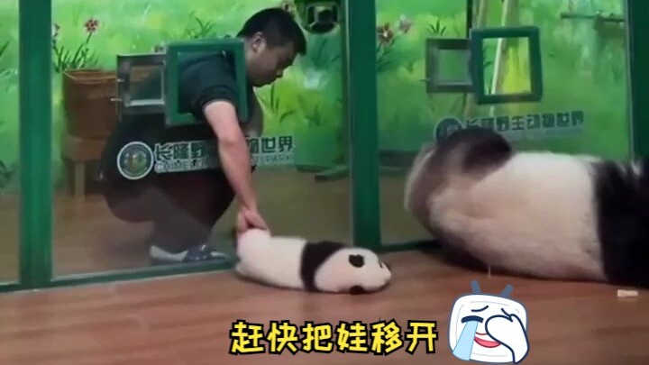 奶爸知道妈妈的起床动作，赶快把娃移开