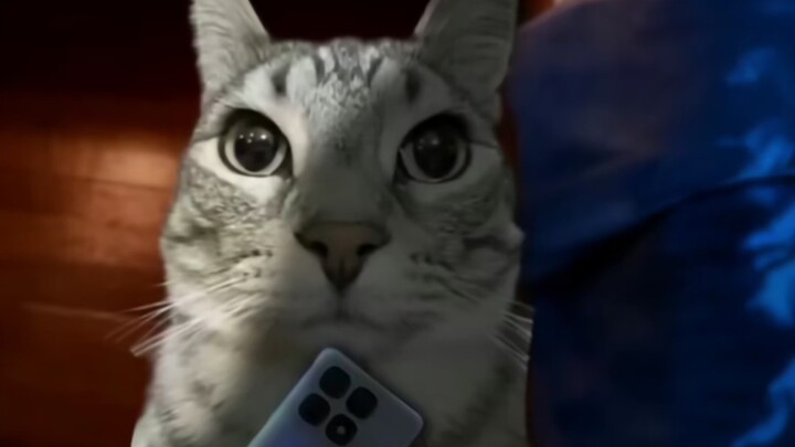 เกมประลองปัญญาสุดระทึกที่เกิดจากโทรศัพท์เพียงเครื่องเดียว