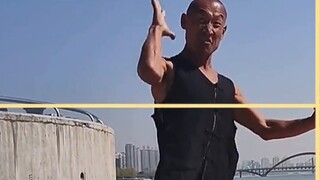 Winter Swimming Pigeon teaches you how to fight Phigros