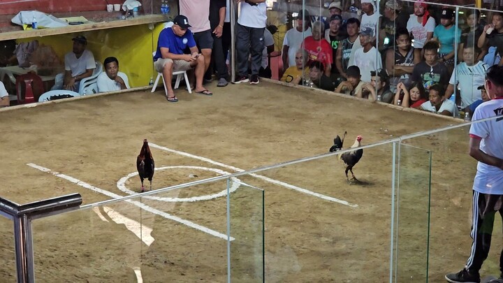 Bonecrusher cross - BICBA 2nd Leg 1st fight Win