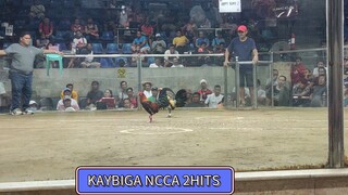 My 1x Grey NCCA Kaybiga 2hits Mahiwaga talaga ang Sabong