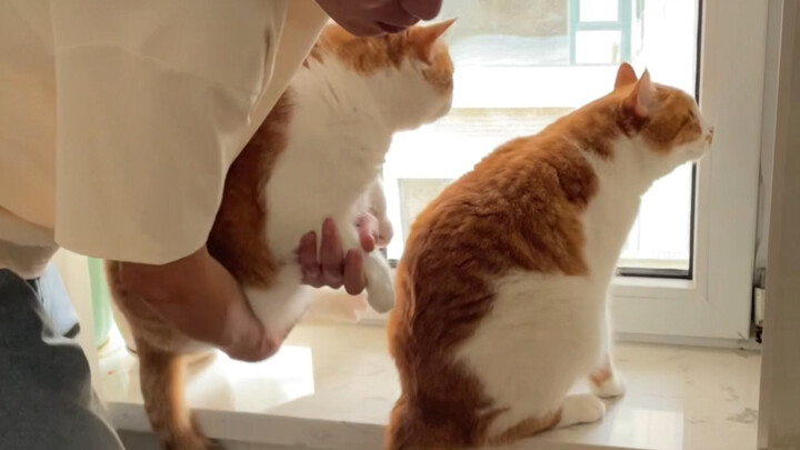 完了！信任度一下归零了