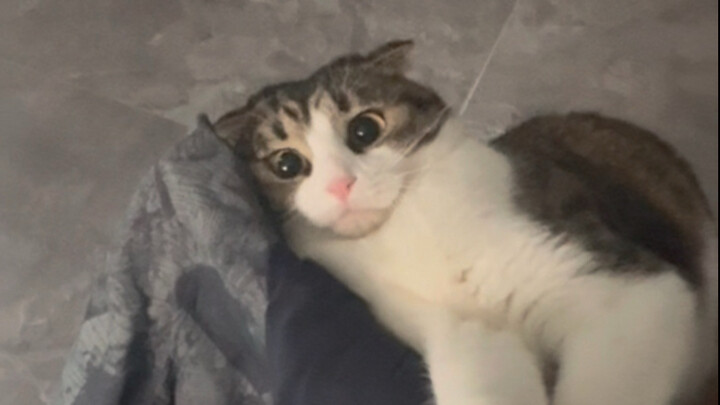 Still waiting for me by the bathroom door, sucking.
