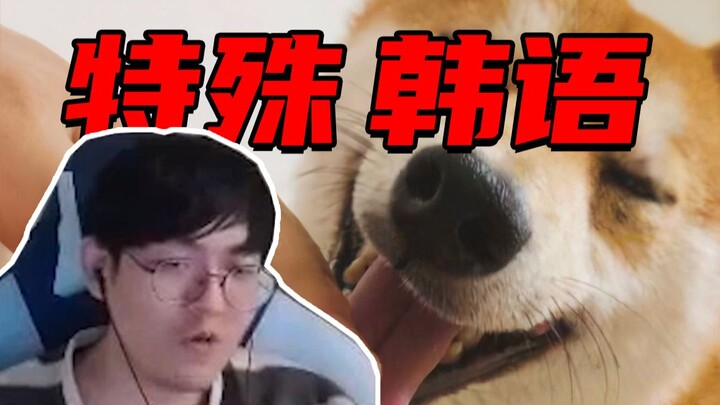 “คนตามจีบ” ในภาษาเกาหลีพูดว่าอย่างไร?