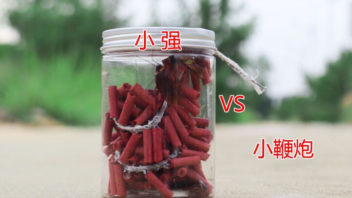 Chuyện gì sẽ xảy ra nếu bạn cho “Tiểu Cường” và một dây pháo vào trong chiếc lọ?