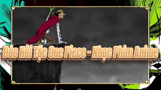 Đảo Hải Tặc One Piece | Các cảnh cảm động: Chuyến du hành cuối cùng của tàu Going Merry