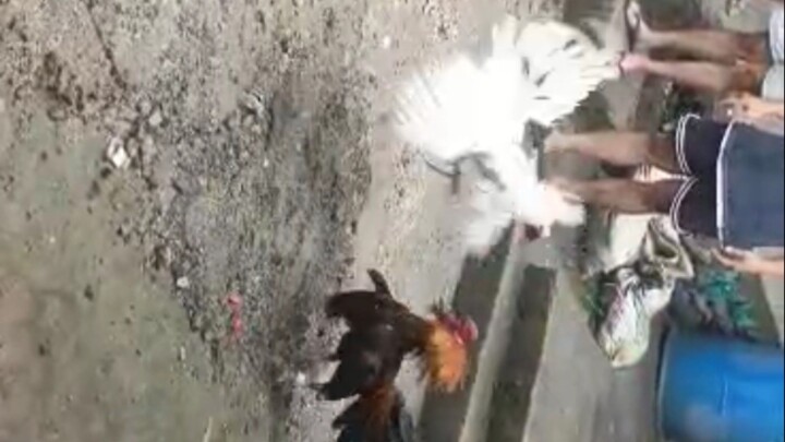 Alimbuyugin vs Sinibalang