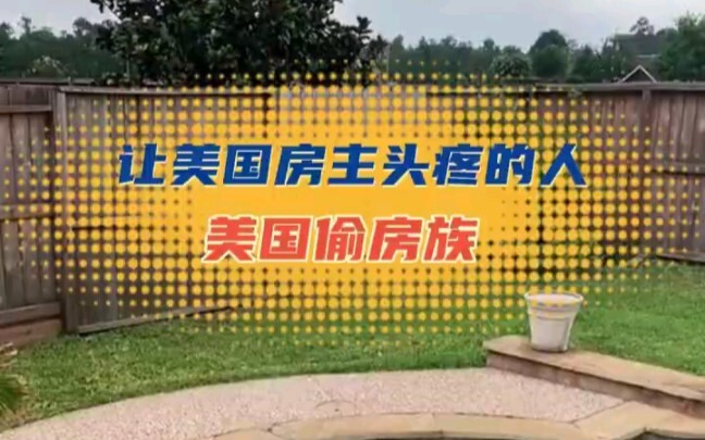 美国法律为什么保护偷房族！