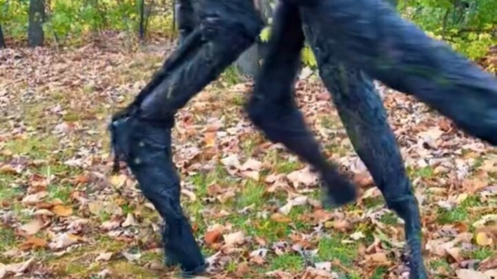 If you encounter this thing in the park, you will run faster than a rabbit.