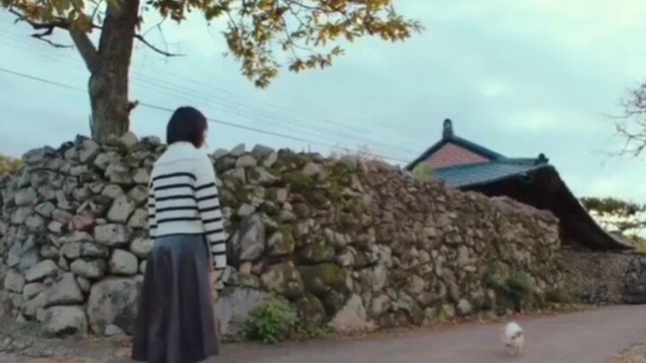 the way he looked at them