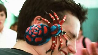 Boy tries to kill giant spider stuck in window, but the moment he gets close, the giant spider disap