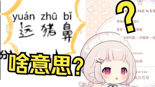 日本萝莉挑战中国小学考试 观众当场笑疯了