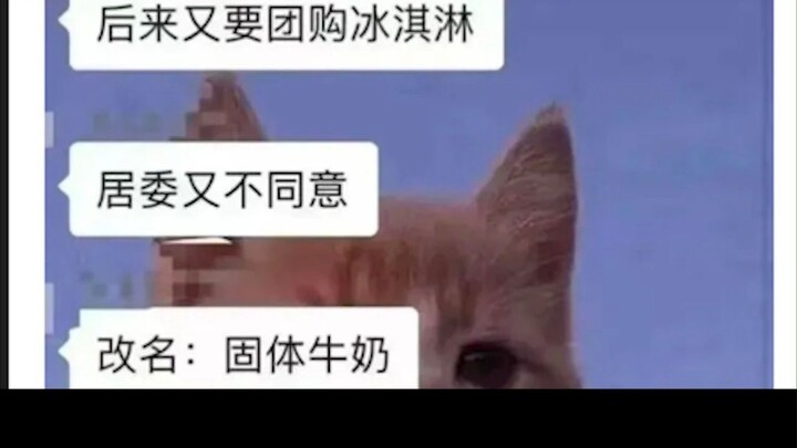 Silly netizens’ hilarious comments and memes 122