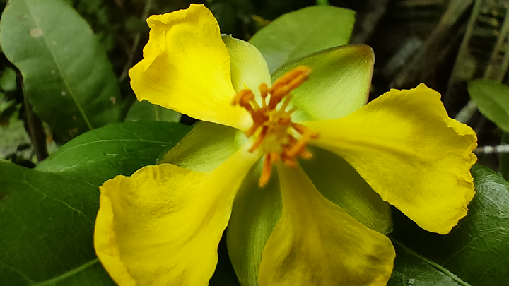 videography #1🥀🎥📸