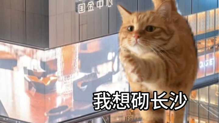 我想砌！我想粗砌玩！谁替我去上班呀～