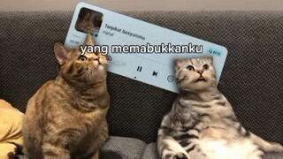 sad