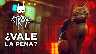 Stray: ¿Vale la pena?