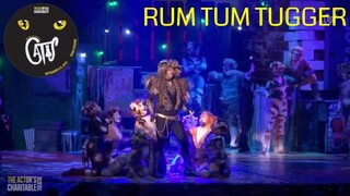 The ACT presents "Rum Tum Tugger" from Cats the Musical