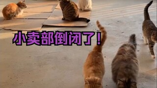 ร้านขายของเล็กๆ ปิดตัวลงแล้ว!