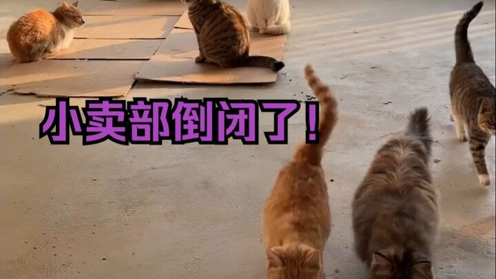 Toko kecilnya tutup!