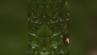 ลองถ่ายมุมมืดดู‼️fypシ แฟลช อย่าปิดการมองเห็น เทรนด์สีโลก