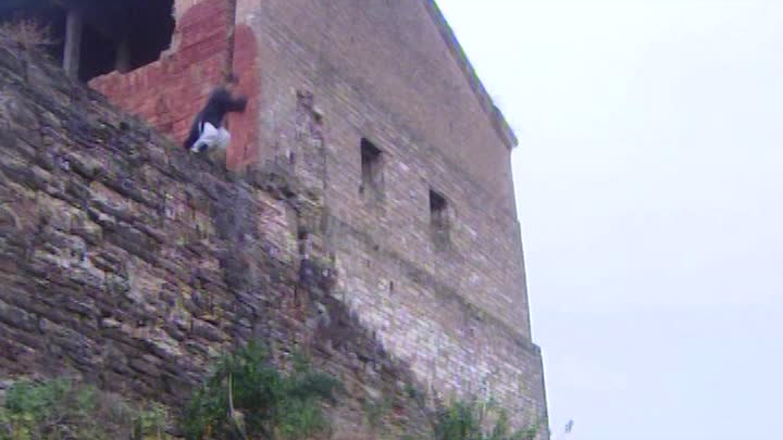 กระโดดหน้าผา Wudang Qinggong ฟังอาจารย์เฉินพูดว่าไม่มี Qinggong และคุณต้องเชื่อในวิทยาศาสตร์
