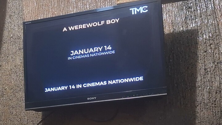 Tagalized Movie Channel - Continuity [12-28-2025]