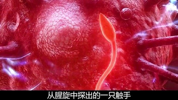 拯救马克计划