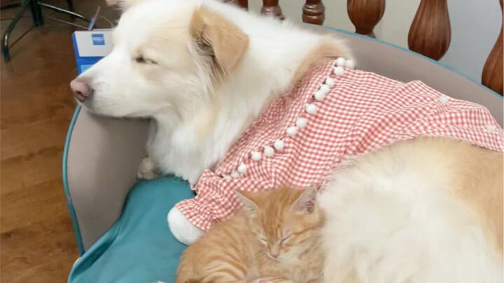 The brother and sister who haven't seen each other for two days.