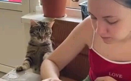 The cat is frantically hinting—so adorable! How could you possibly resist giving it what it wants?