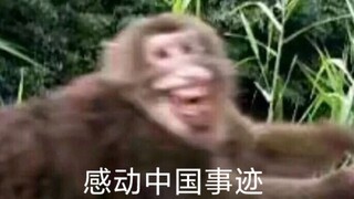 มีลิงดีๆ บนภูเขาเอ๋อเหมย