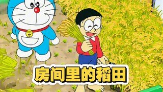 大家小时候有没有去稻田里插过秧